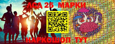 гашик Ливны