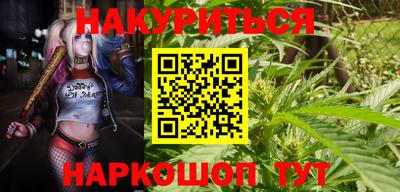 гашик Ливны