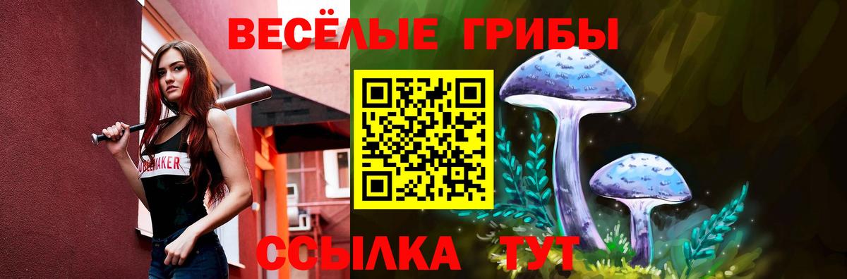 Балтийск  Галлюциногенные грибы MAGIC MUSHROOMS  Вход с VPN  Псилоцибиновые грибы Cubensis 