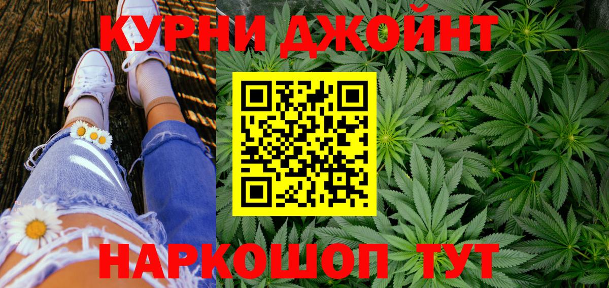 Конопля семена Балтийск